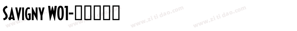 Savigny W01字体转换